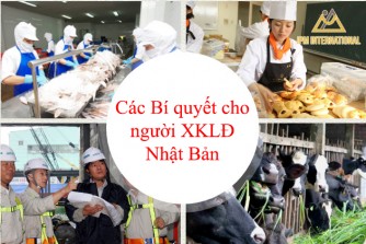 Những bí quyết dùng khi làm việc tại Nhật