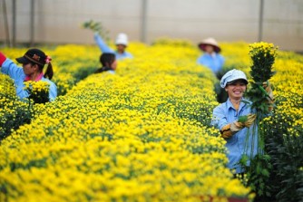 新型コロナで失職した日本在住外国人と企業をマッチング、技能実習生を特定技能に切り替えで日本での継続就労を支援