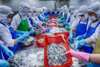 ベトナムEU自由貿易協定が発効、輸出拡大に期待