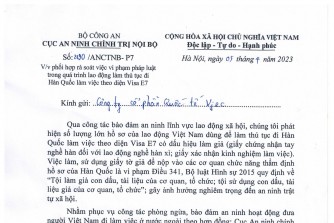 Phối hợp Bộ Công An rà soát vi phạm Visa E7